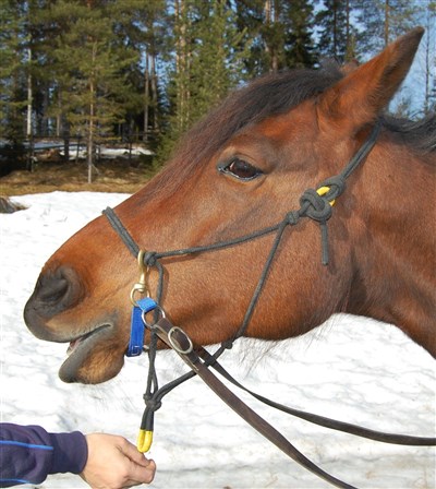 eftergift automatiskt när hästen tuggar